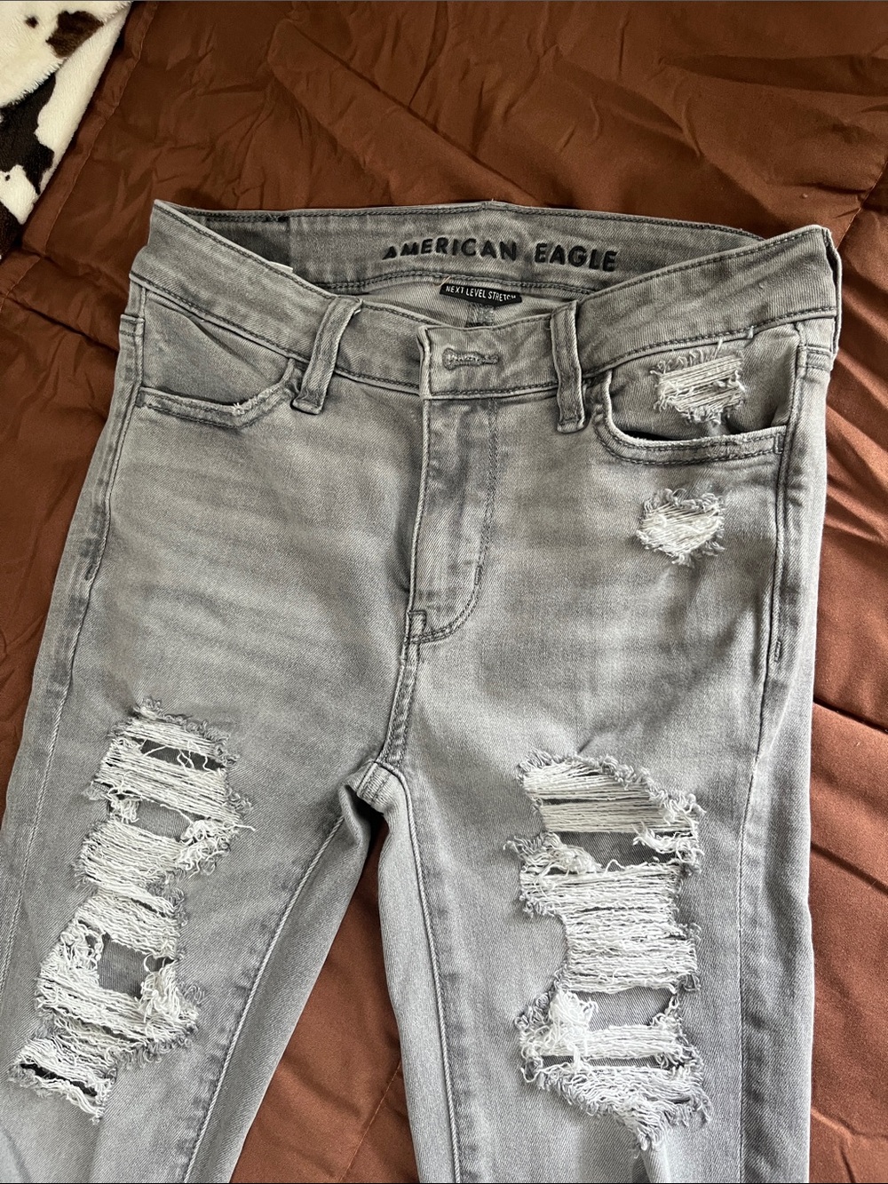 American Eagle Outfitters Light Grey Ripped Skinny Jeans
